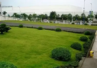 园林绿化工程带来哪些好处？